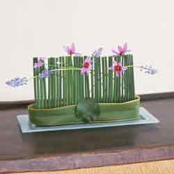 DN024.jpg
