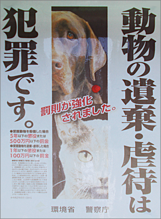 DSCN1941m17.jpg