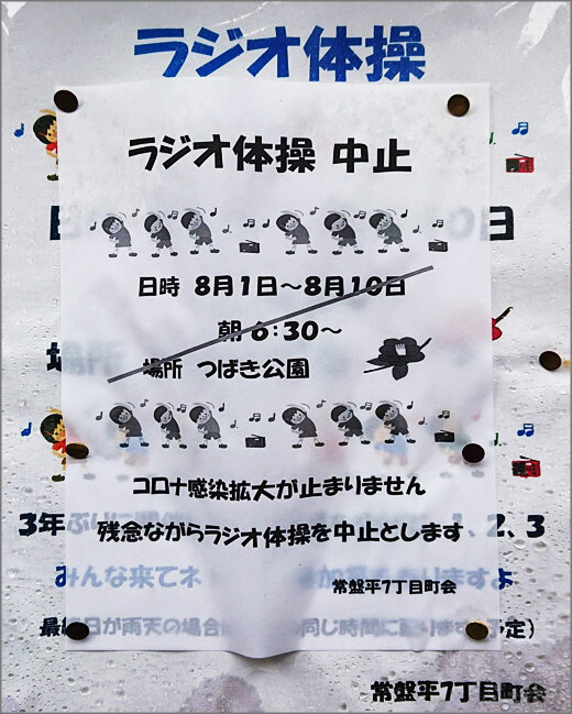 DSC_0020m27.jpg