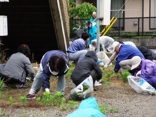 20160627_hamano001.jpg