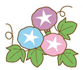 asagao.png