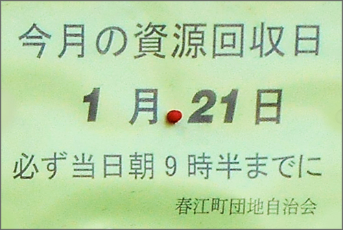 DSCN2770_001m.jpg