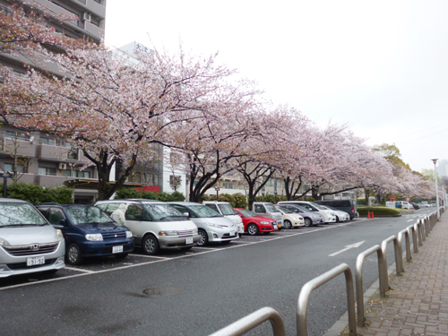 20150407_ishihama003.jpg