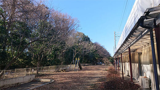 20230202_izumigaoka_01.jpg