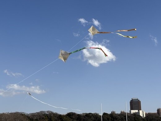 R8新春凧揚げ大会３.jpeg