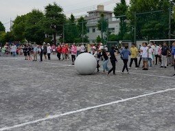 大玉ころがし.JPG