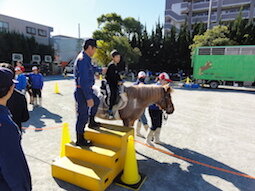 DSC01615.JPG