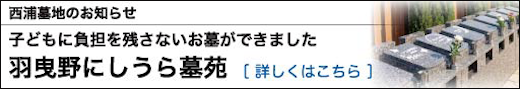 260801OL_4.png