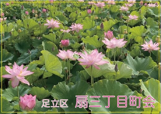 扇三丁目町会表紙.jpg