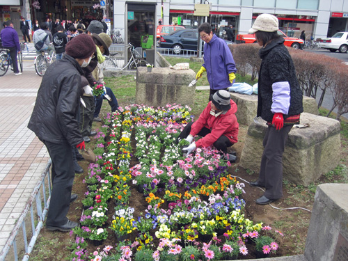 1203えきひろの花こみち／新小岩第五自治会002.JPG