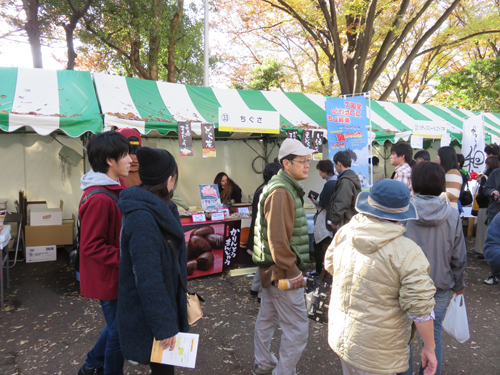 20141125_shinkoiwa5_003m.jpg