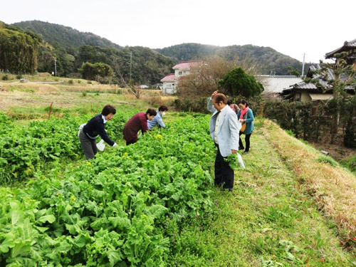 20160307_shinkoiwa5_003.jpg