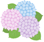 スクリーンショット 2024-05-20 13.13.57.png