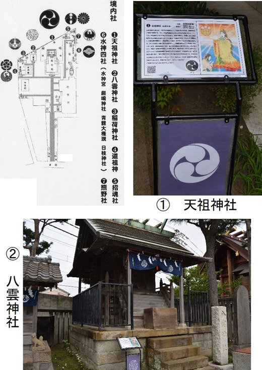 20201002_takasagominami_04.jpg